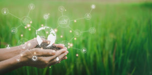 Hand holding soil and seedling with globe hologram. Environment and ecology concept. Save the world project. Nature background.